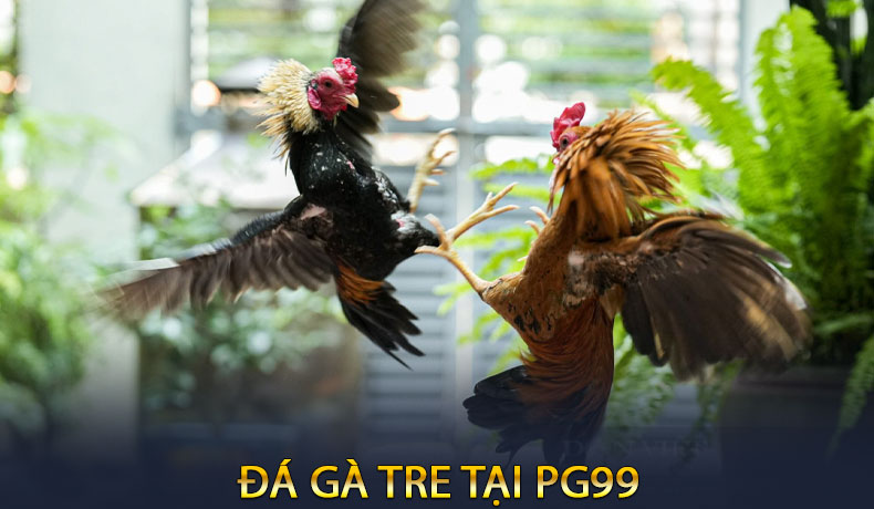 Tin Tức - pg99