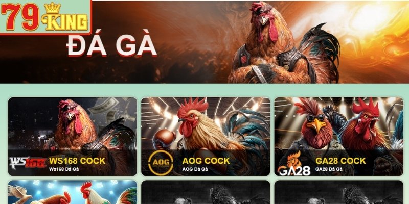 Đá Gà 79KING – Điểm Đến Hấp Dẫn Cho Người Yêu Chọi Kê